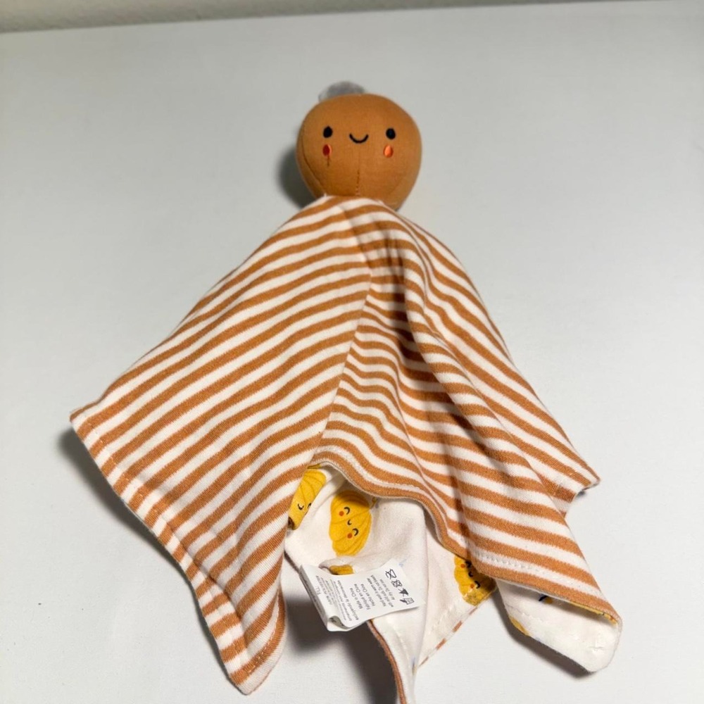 Rabbit & Bear Organic Pumpkin Baby blanket & plush lovey - Fall theme